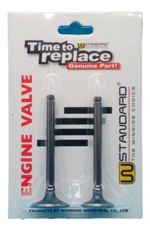 Juego De Valvulas Para Moto. Wst 110cc. - Vwst110