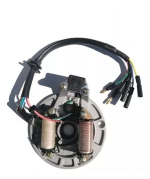 Encendido Jh 70/wnr 4tc (2 Bobinas+captor) P/moto-gtm00688