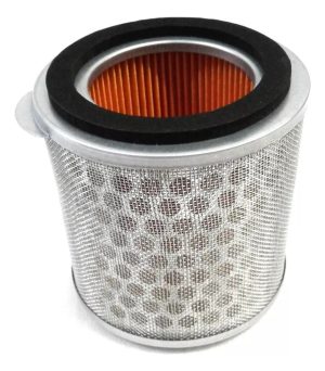 Filtro Aire Xre 300 - 60670