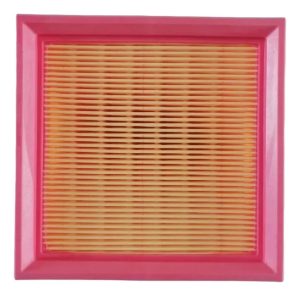 Filtro De Aire Gtm Xr 250 Tornado Pza 54316 1 Unid