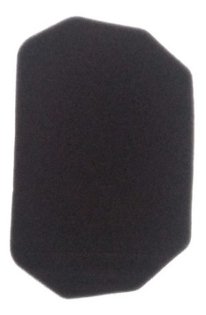 Elemento Filtro De Aire C110/max125/fair/bis-gtm00012