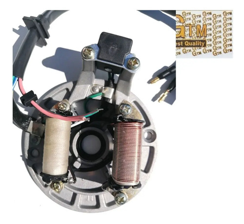 Encendido Jh 70/wnr 4tc (2 Bobinas+captor) P/moto-gtm00688 - Imagen 3