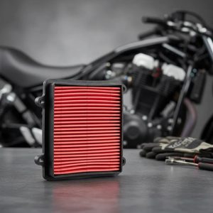Filtro De Aire Para Moto Modelo Xr 125l -0238